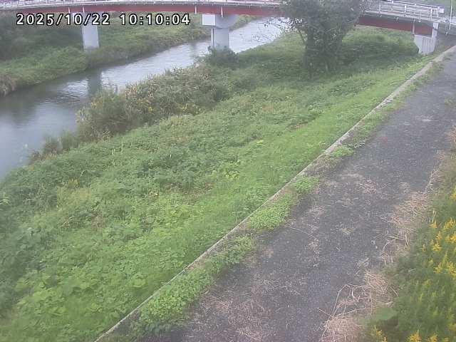 河内川１2025/10/22 11:20:00