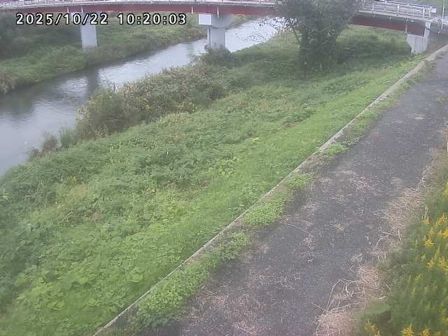 河内川１2025/10/22 11:20:00