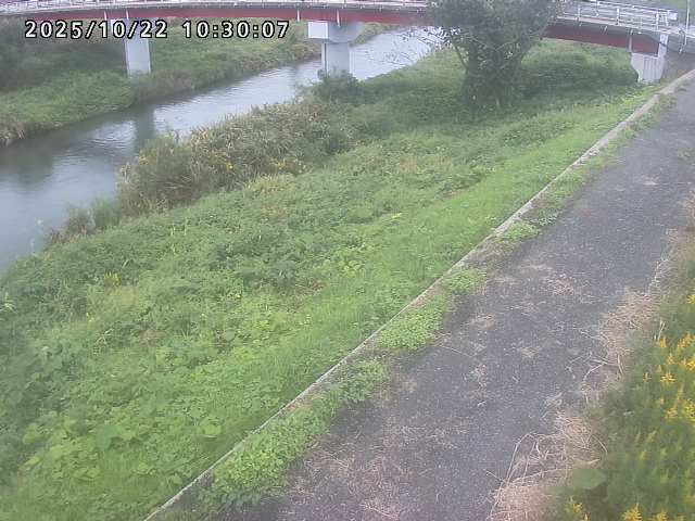 河内川１2025/10/22 11:20:00