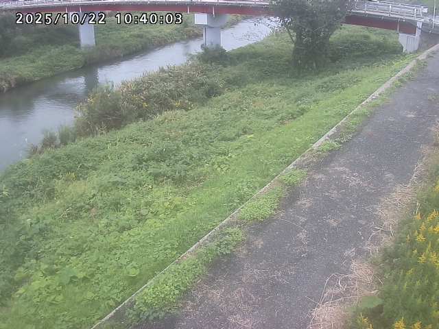 河内川１2025/10/22 11:20:00