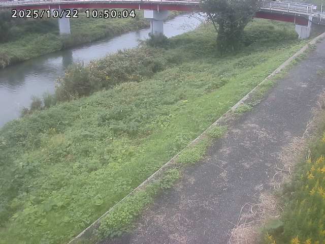 河内川１2025/10/22 11:20:00