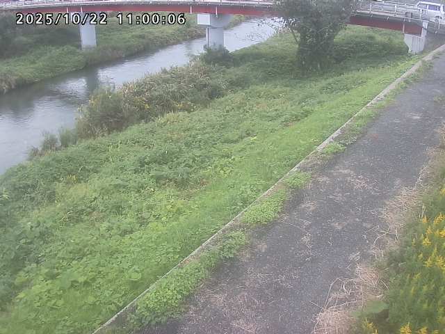 河内川１2025/10/22 11:20:00