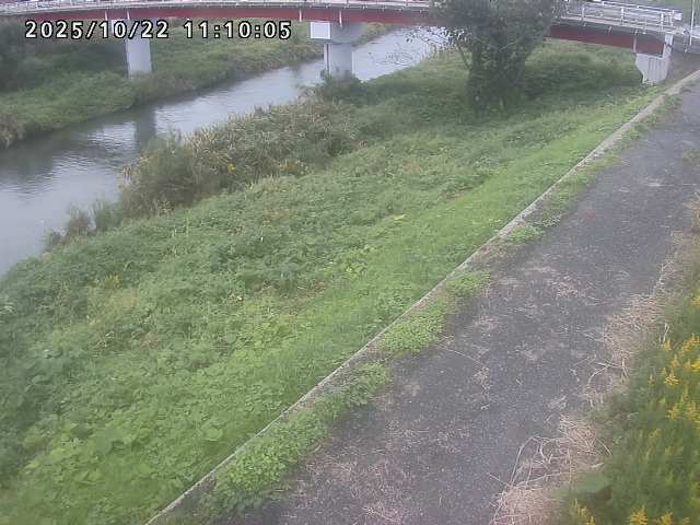 河内川１2025/10/22 11:20:00
