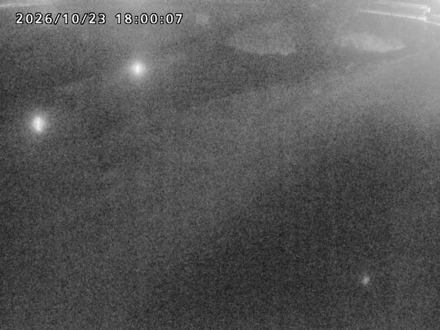 河内川１2026/10/24 9:30:00