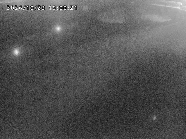 河内川１2026/10/24 9:30:00