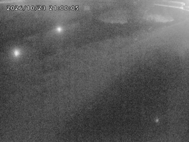 河内川１2026/10/24 9:30:00