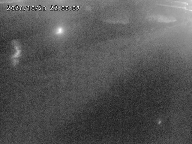河内川１2026/10/24 9:30:00