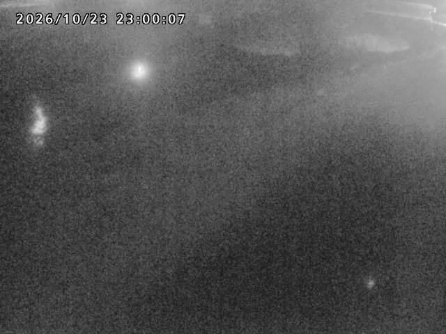 河内川１2026/10/24 9:30:00