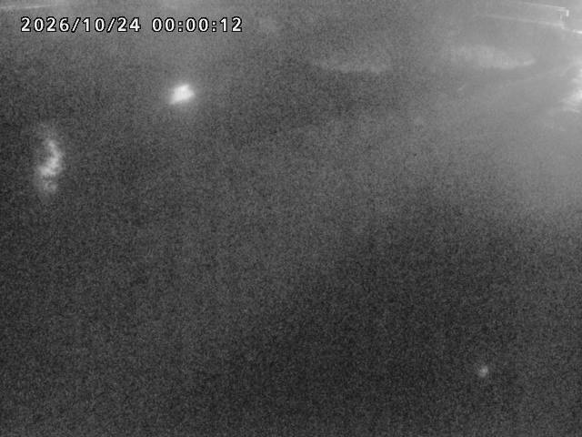 河内川１2026/10/24 9:30:00