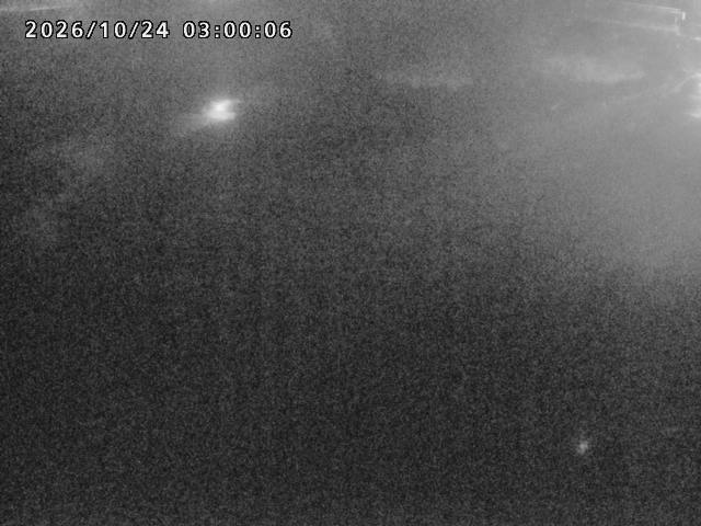 河内川１2026/10/24 9:30:00