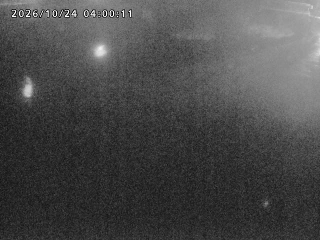 河内川１2026/10/24 9:30:00