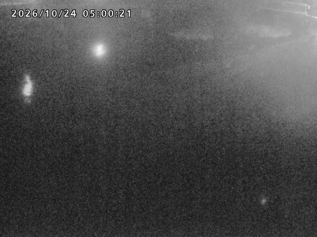 河内川１2026/10/24 9:30:00