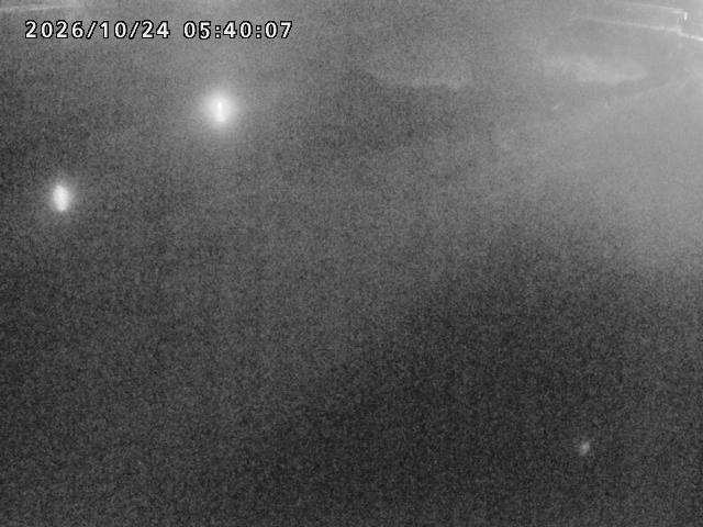 河内川１2026/10/24 9:30:00