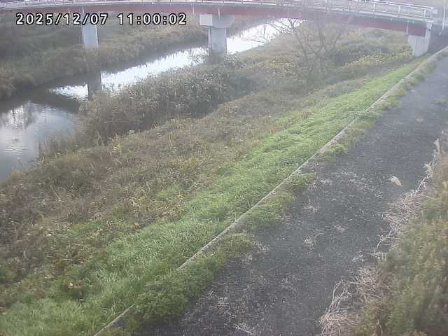 河内川１2025/12/08 11:30:00