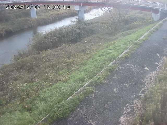 河内川１2025/12/08 11:30:00