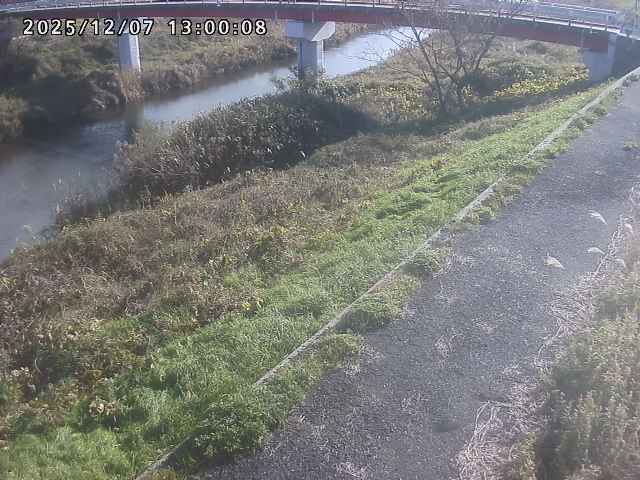 河内川１2025/12/08 11:30:00