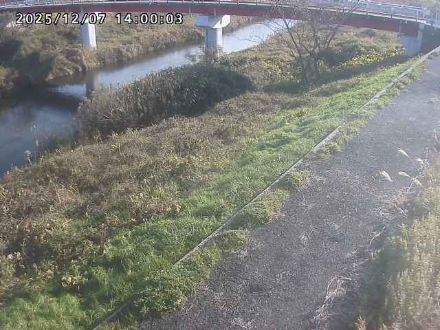 河内川１2025/12/08 11:30:00