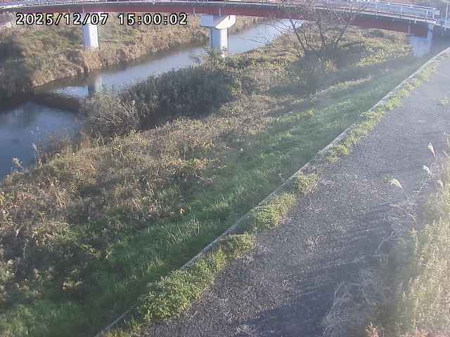 河内川１2025/12/08 11:30:00