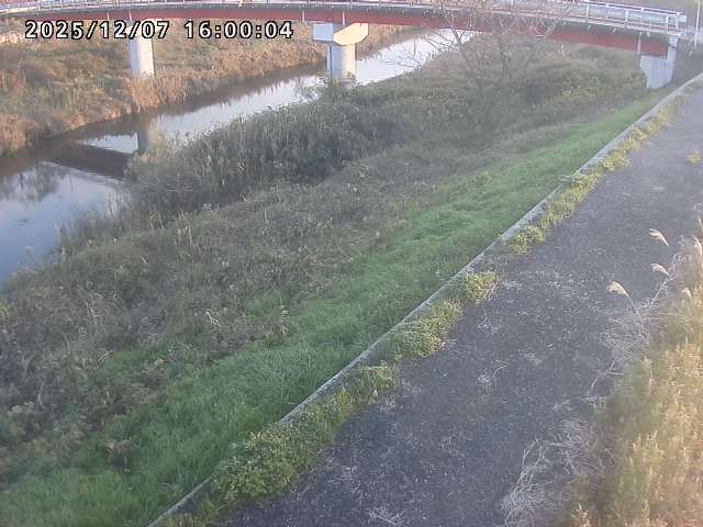 河内川１2025/12/08 11:30:00