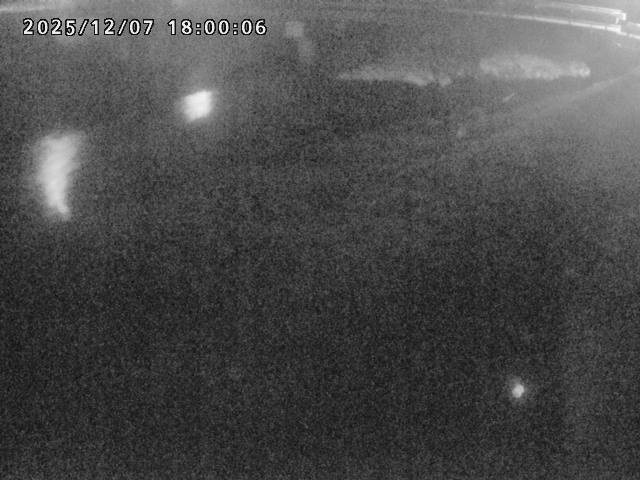 河内川１2025/12/08 11:30:00