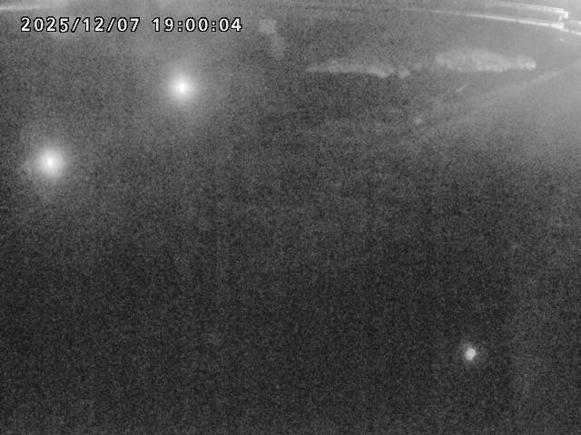 河内川１2025/12/08 11:30:00