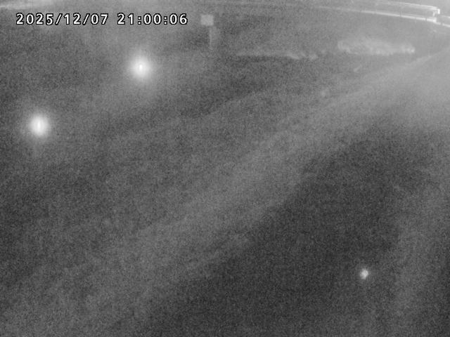 河内川１2025/12/08 11:30:00