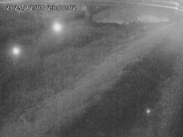 河内川１2025/12/08 11:30:00