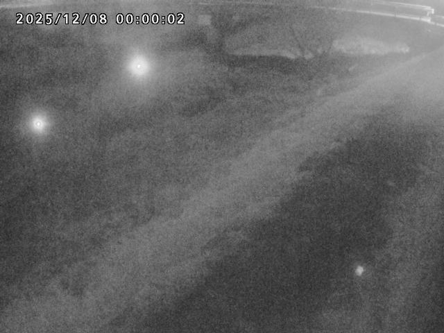 河内川１2025/12/08 11:30:00