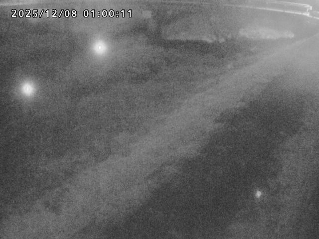 河内川１2025/12/08 11:30:00