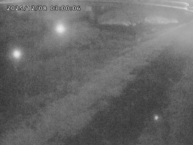 河内川１2025/12/08 11:30:00