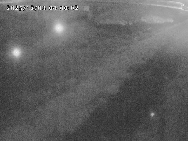 河内川１2025/12/08 11:30:00