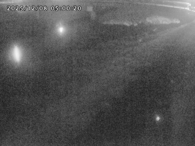 河内川１2025/12/08 11:30:00