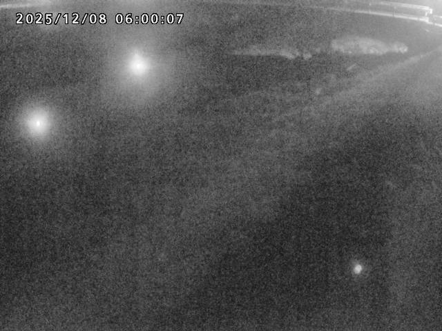 河内川１2025/12/08 11:30:00