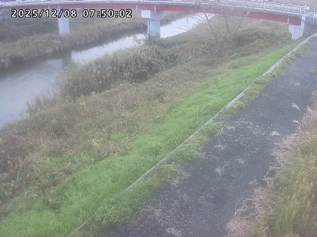 河内川１2025/12/08 11:30:00