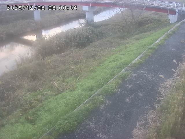 河内川１2025/12/08 11:30:00