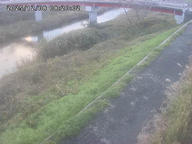 河内川１2025/12/08 11:30:00