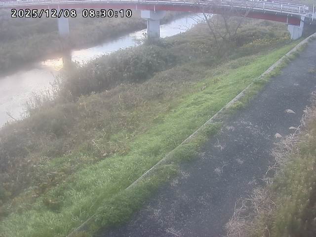 河内川１2025/12/08 11:30:00