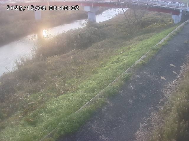 河内川１2025/12/08 11:30:00