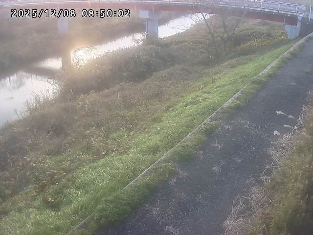 河内川１2025/12/08 11:30:00