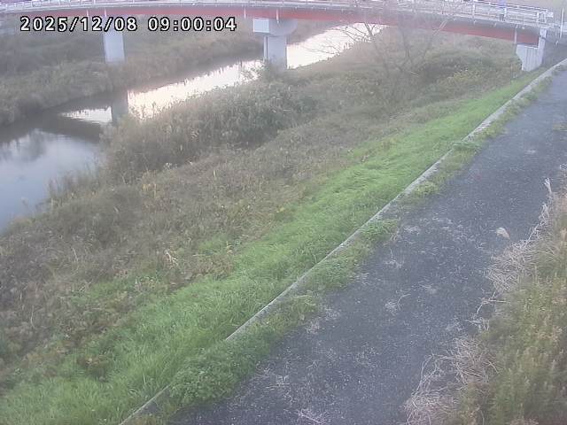 河内川１2025/12/08 11:30:00