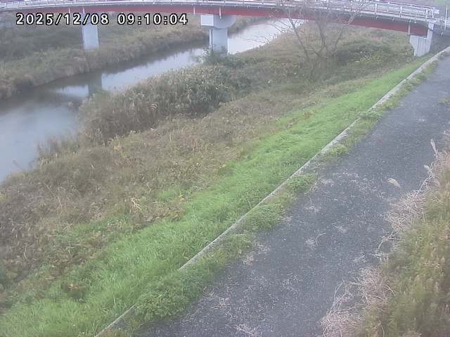 河内川１2025/12/08 11:30:00