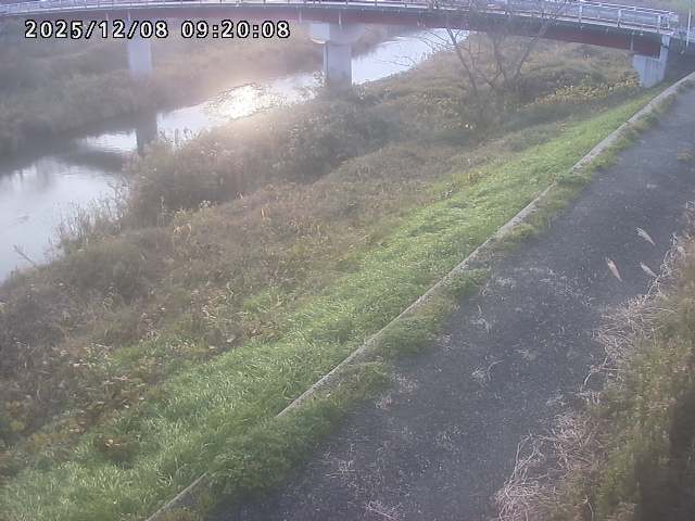 河内川１2025/12/08 11:30:00