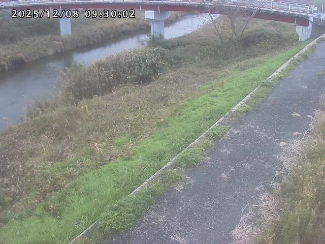 河内川１2025/12/08 11:30:00