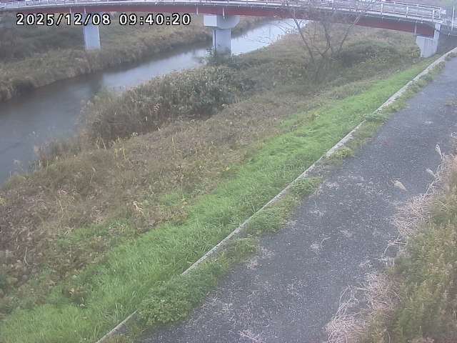 河内川１2025/12/08 11:30:00
