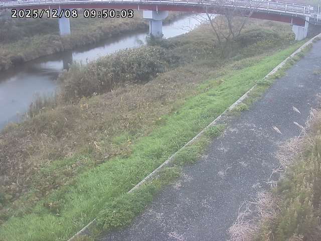 河内川１2025/12/08 11:30:00