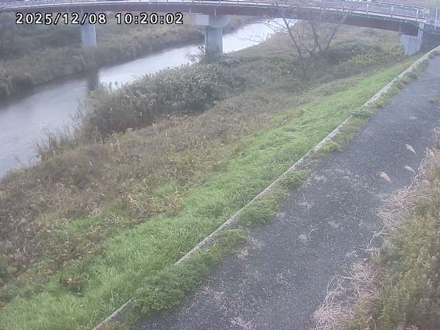 河内川１2025/12/08 11:30:00