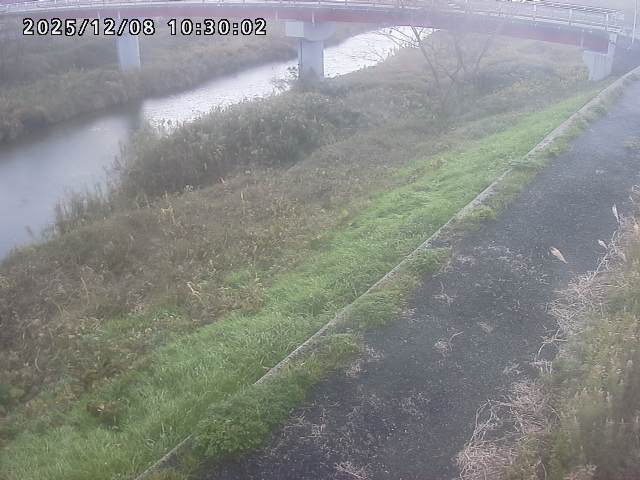 河内川１2025/12/08 11:30:00