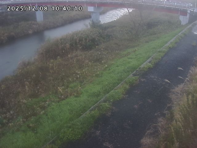 河内川１2025/12/08 11:30:00