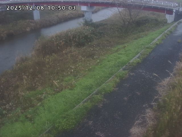 河内川１2025/12/08 11:30:00