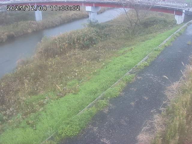 河内川１2025/12/08 11:30:00